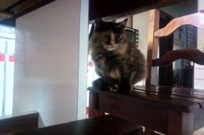 爱游戏平台-CBA球队投篮训练细化每个环节追求极致，篮球队投篮的训练方法