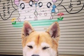 爱游戏ayx官网-国际热身赛国家队逆袭 球员表现焕然一新，国家队热身赛直播