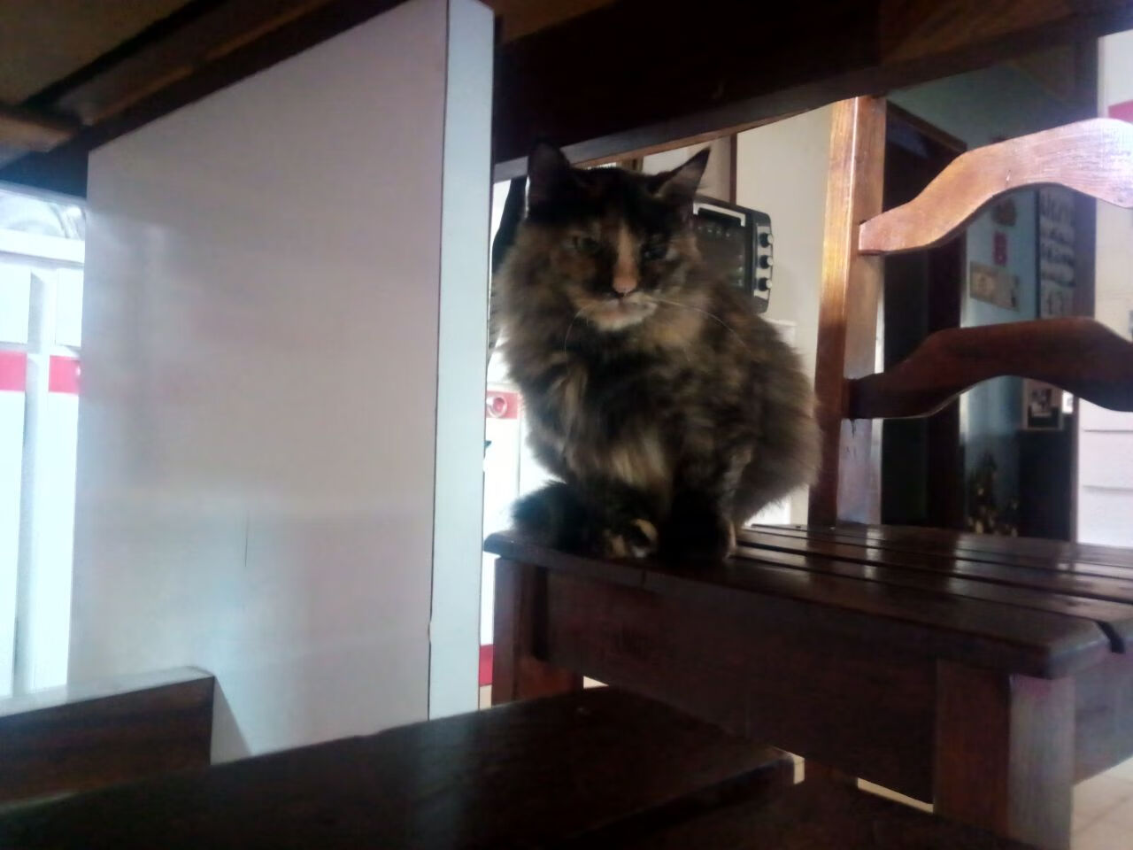 CBA球队投篮训练细化每个环节追求极致,篮球队投篮的训练方法