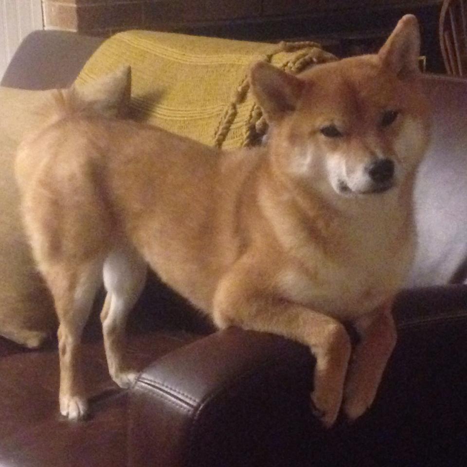 三分球比拼谁是投射团队天花板,三分球合集