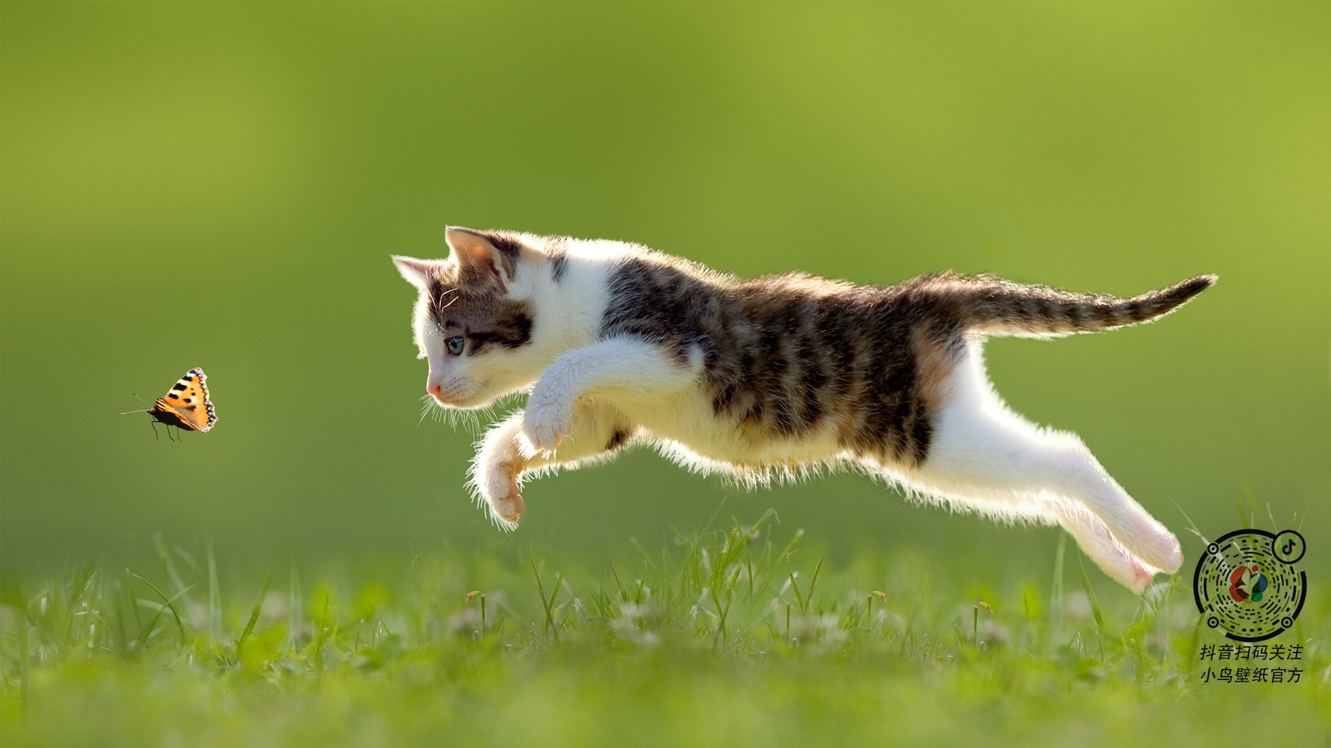 印度队未来发展:加速年轻球员的技术进步和实战经验积累,印度职业足球联赛