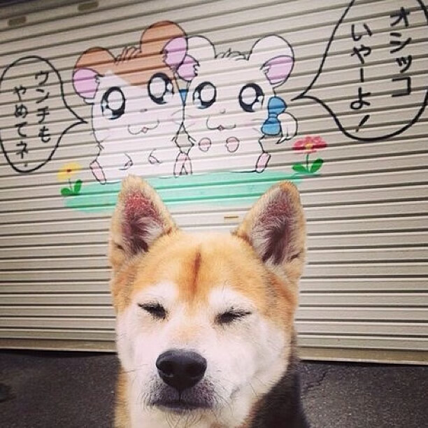 国际热身赛国家队逆袭 球员表现焕然一新，国家队热身赛直播