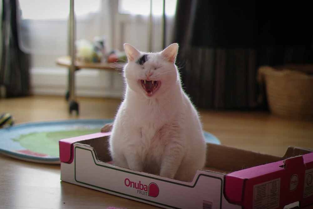 基层足球赛事体系建设滞后,深化足球改革方案