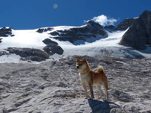 曼城依靠高压体系连续压制对手,曼城这么强